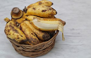 Latundan banana