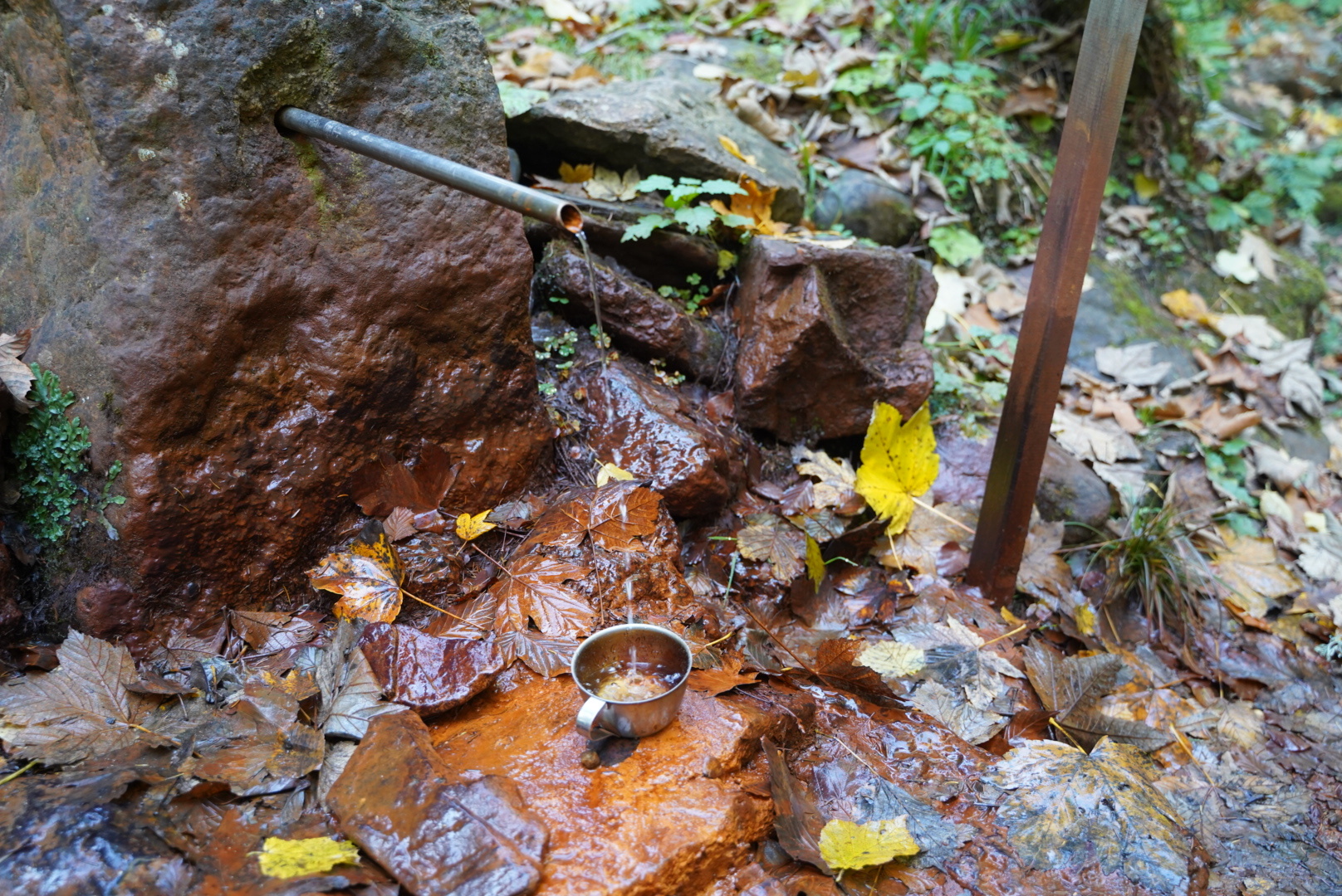 Železna Voda | Local Natural Water From Solčava, Slovenia