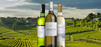 Bordeaux Blanc