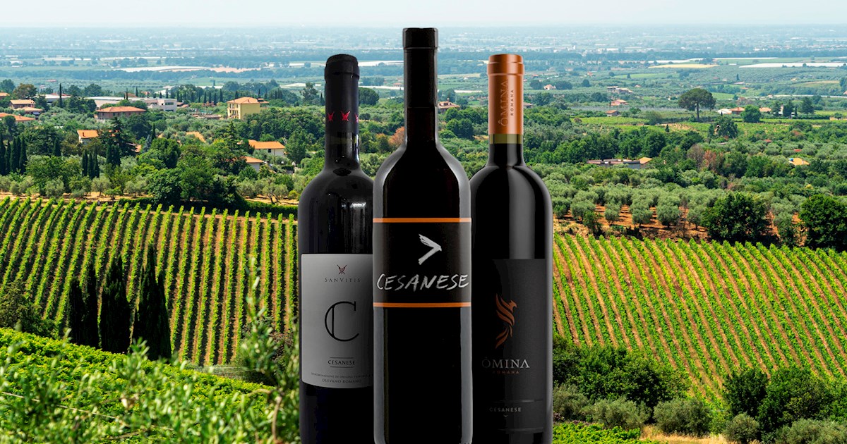 Cesanese | Local Wine Variety From Lazio, Italy