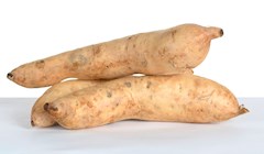 Most Popular Sweet Potatoes In The World Tasteatlas