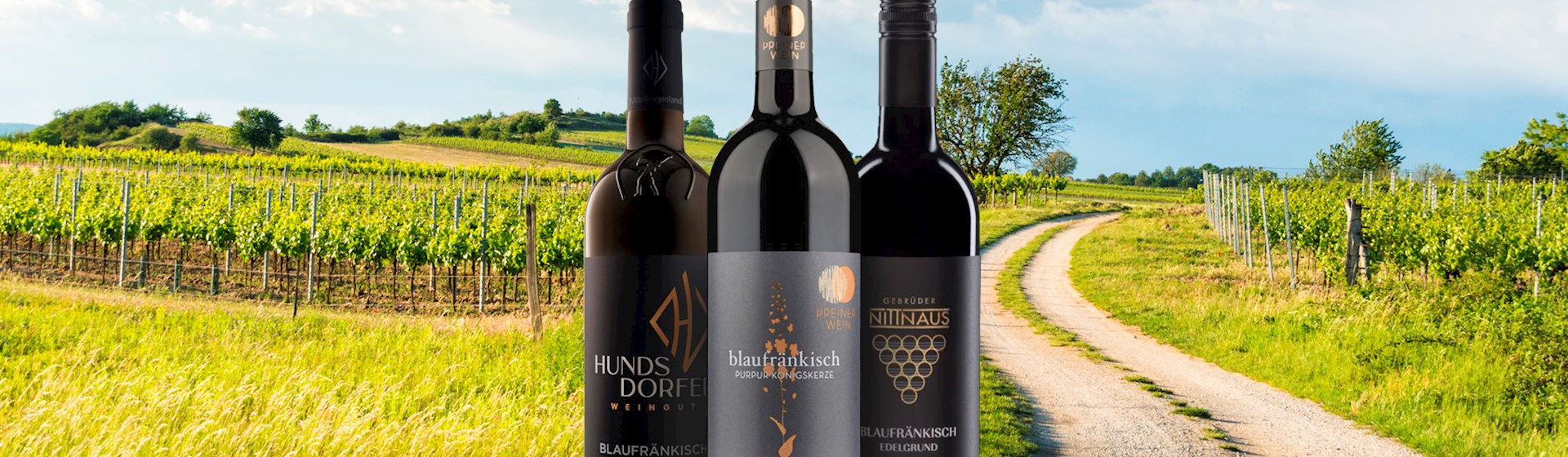 20 Best Red Wines in Austria - TasteAtlas