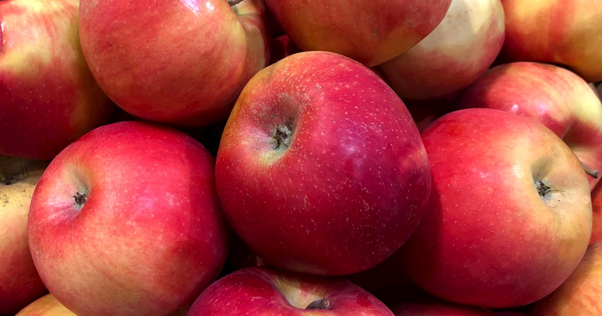 Esopus Spitzenburg Apples | Local Apple Variety From Esopus, United ...