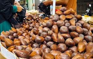 Salak pondoh