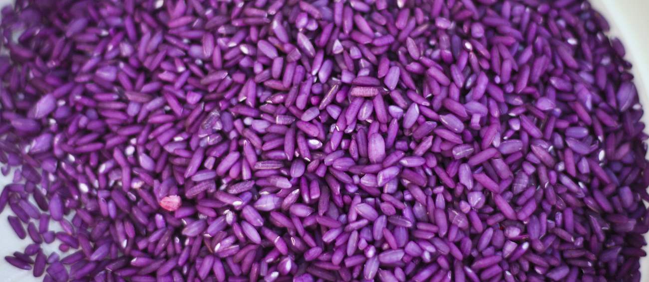Riso Violet | Local Rice From Collobiano, Italy