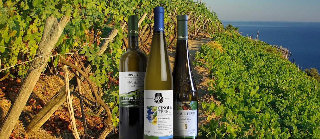 Cinque Terre Local Wine Appellation From Province of La Spezia, Italy