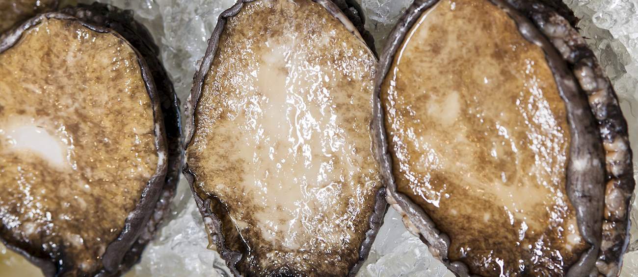Tasmanian Wild Abalone Local Abalone From Tasmania, Australia