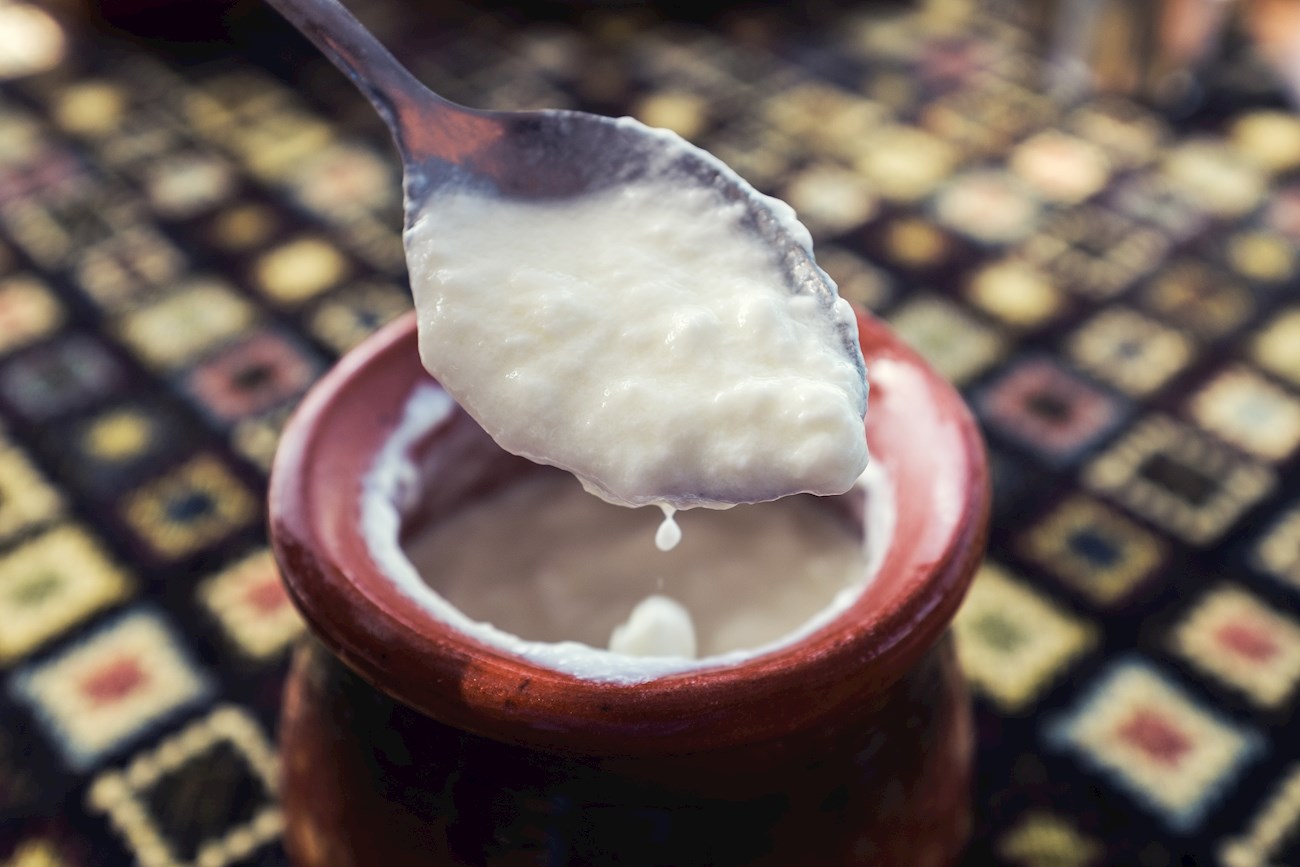 Greek Yogurt | Local Dairy Beverage From Greece