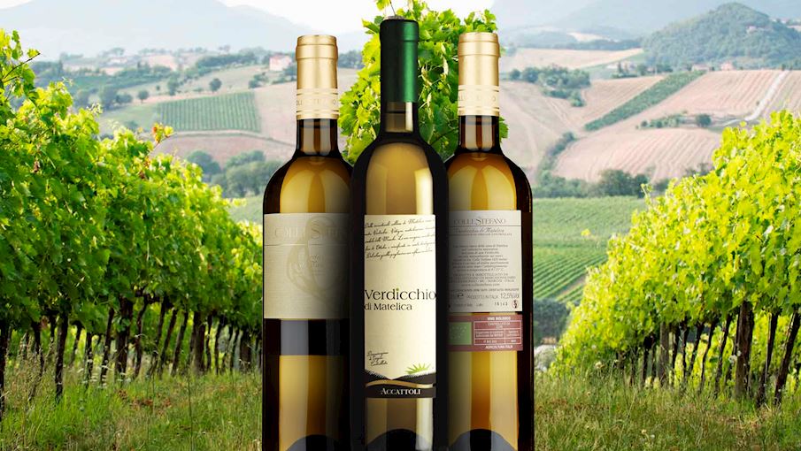 100 Most Popular White Wines in The World TasteAtlas