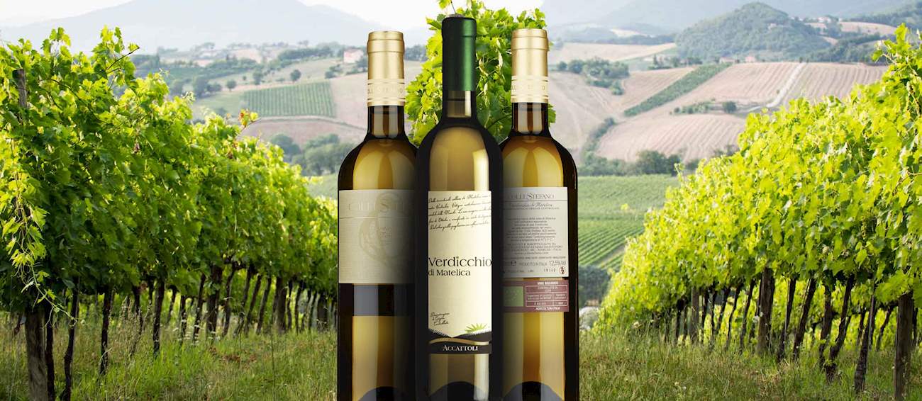 Verdicchio di matelica local wine appellation from marche italy