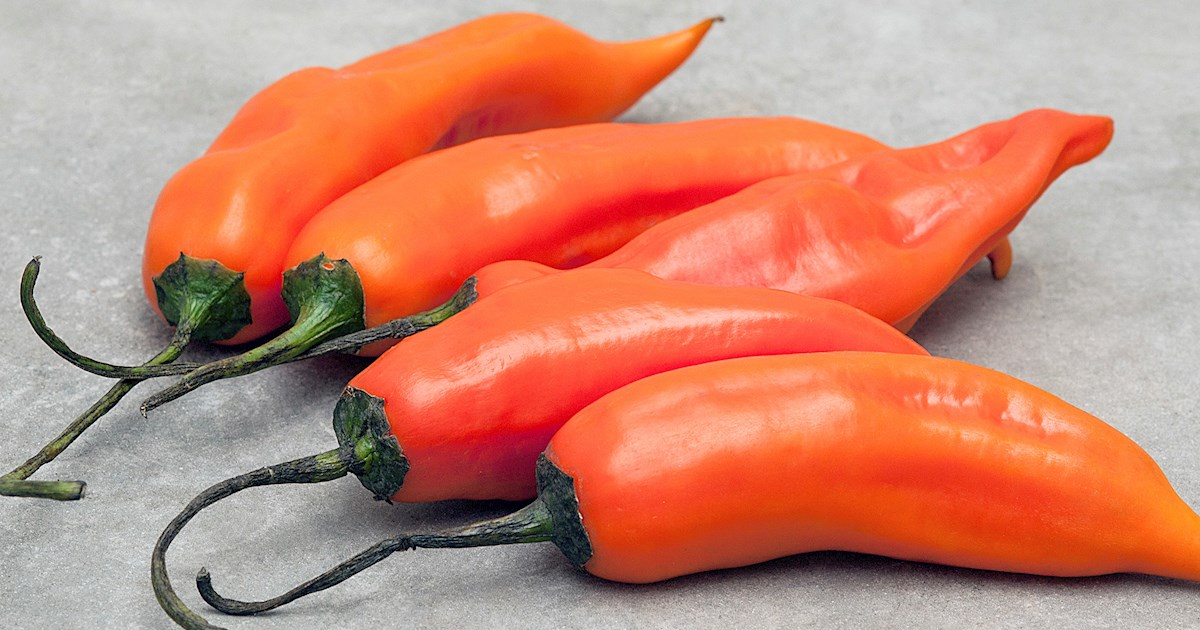 Top 13 Spiciest Peppers in the World, Ranked from Hot to Hottest