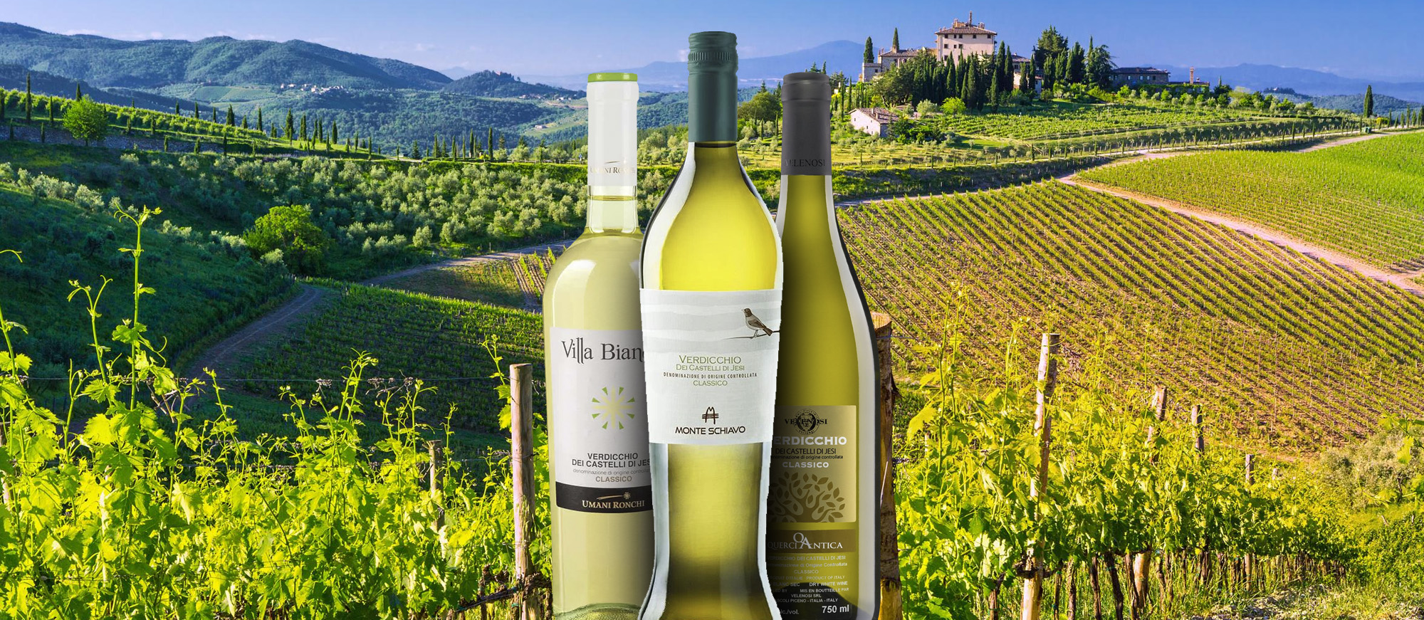 10 Most Popular Italian White Wines TasteAtlas