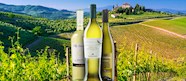 List Of Italian White Wine Cheaper Than Retail Price Buy Clothing 