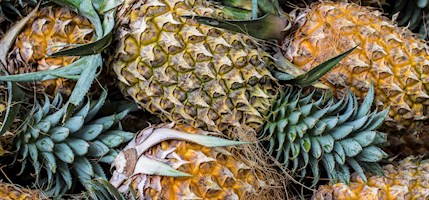 Antigua Black Pineapple