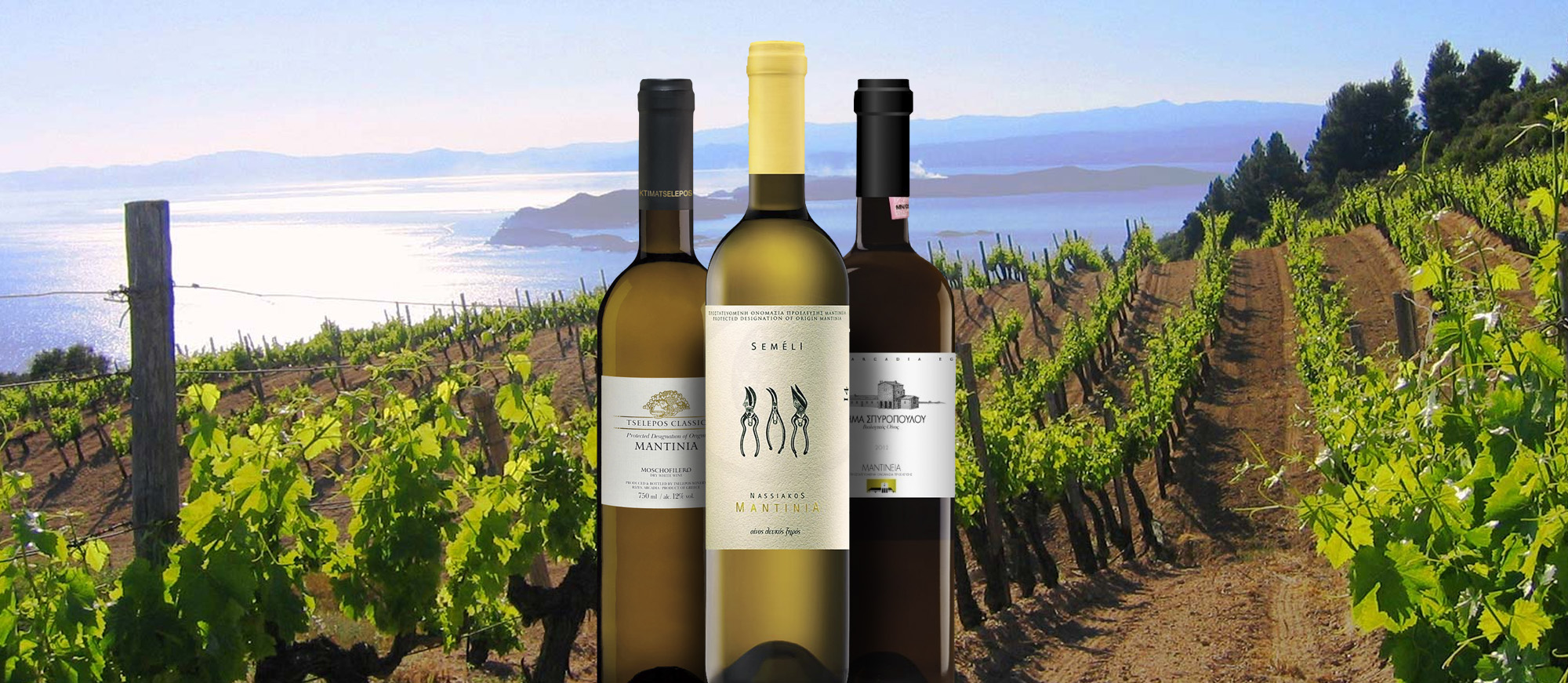 10 Best Rated European White Wines TasteAtlas