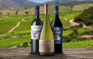 Valle de Colchagua
