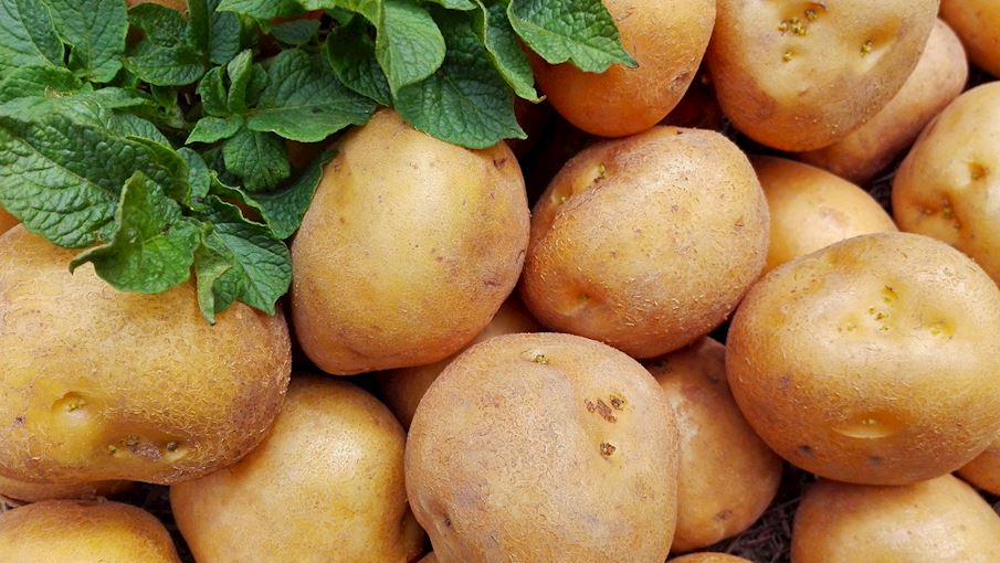 8 Most Popular Italian Potatoes TasteAtlas