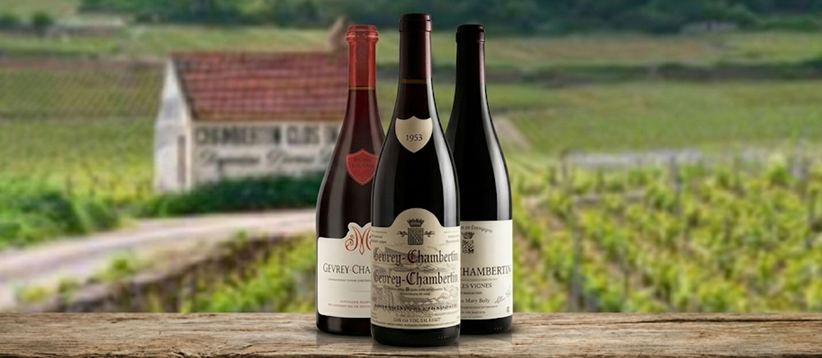 Gevrey-Chambertin | Local Wine Appellation From Gevrey-Chambertin