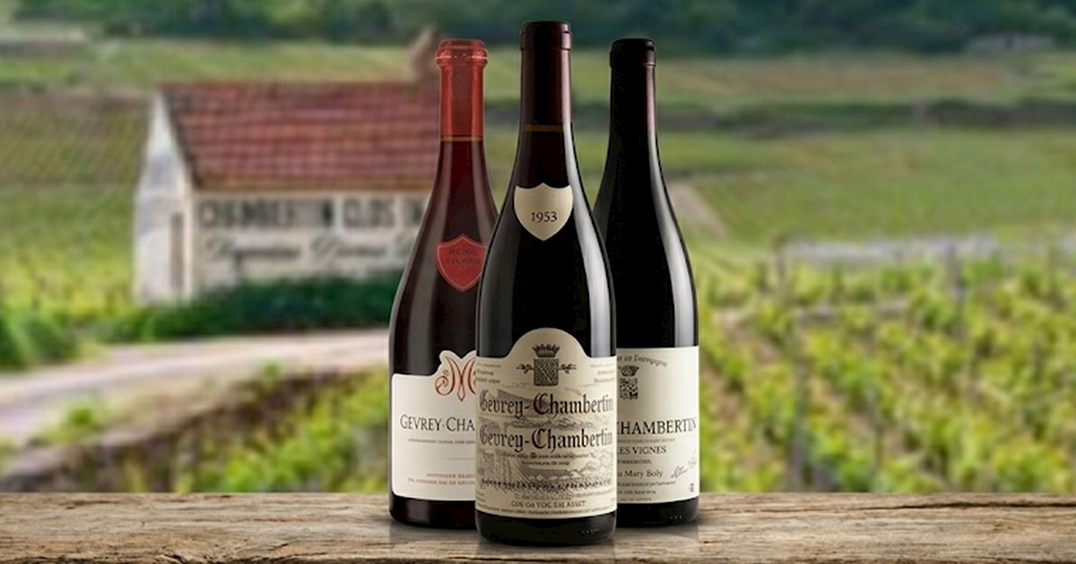 Gevrey-Chambertin | Local Wine Appellation From Gevrey-Chambertin 