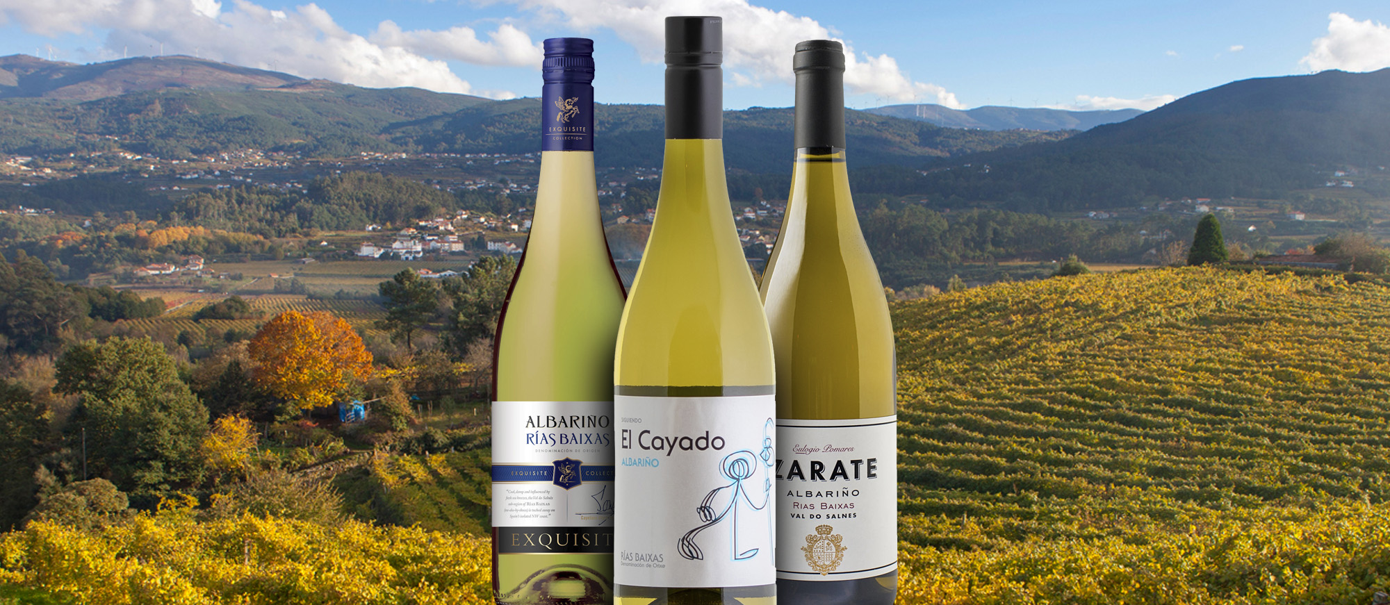 3 Best Wines (Varieties And Appellations) In Galicia - TasteAtlas