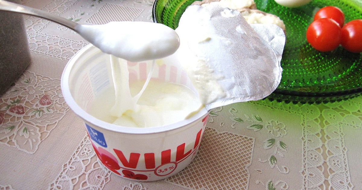 Viili Yogurt Starter Culture