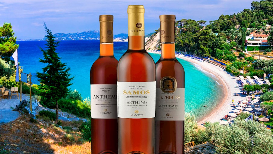 10 Most Popular Greek White Wines TasteAtlas