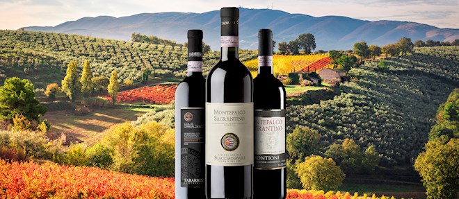 Umbrian Red Wines: 4 Red Wine Types in Umbria | TasteAtlas