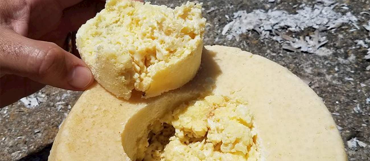 Casu Marzu Local Cheese From Sardinia, Italy