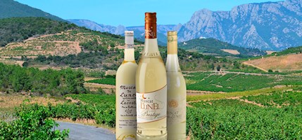 Muscat de Lunel