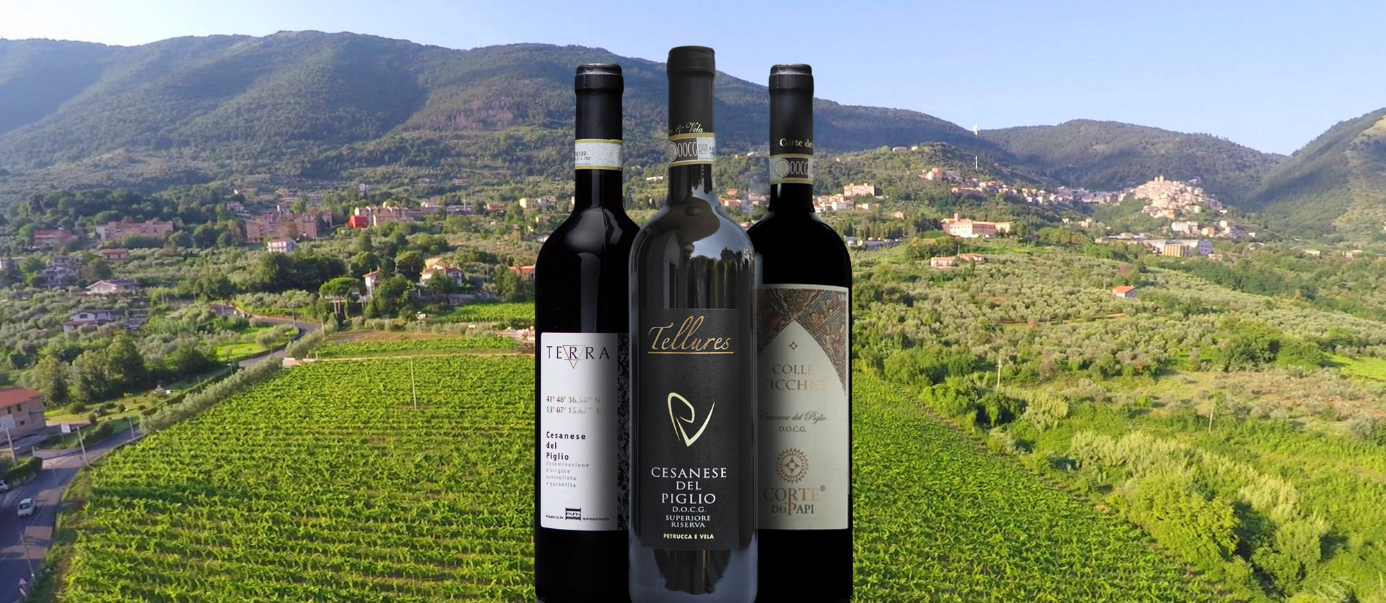 Cesanese Del Piglio | Local Wine Appellation From Province of Frosinone ...