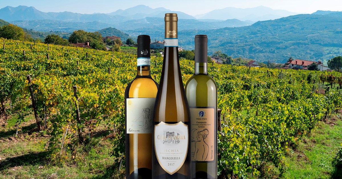 Biancolella | Local Wine Variety From Campania, Italy