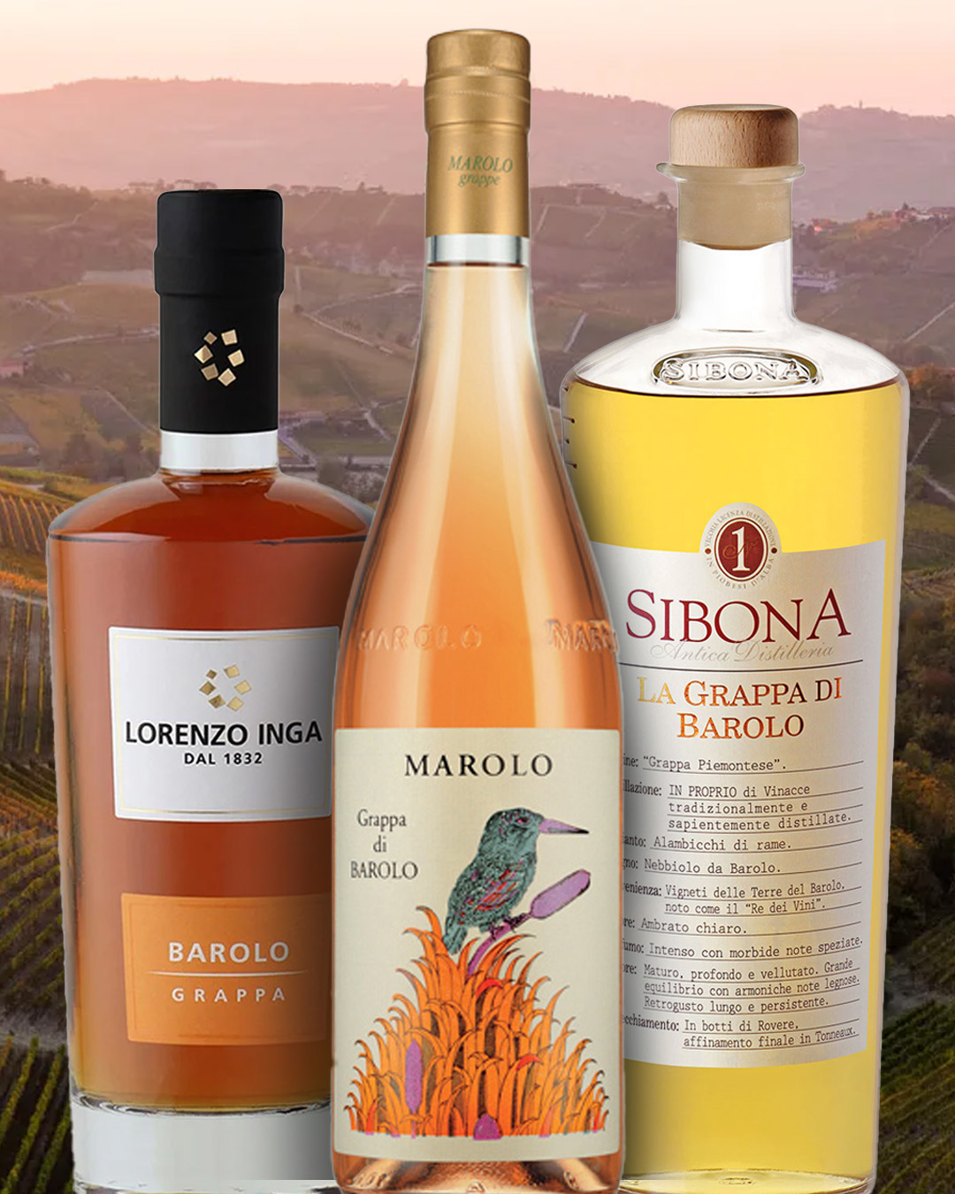 Grappa di Barolo | Local Spirit From Piedmont, Italy