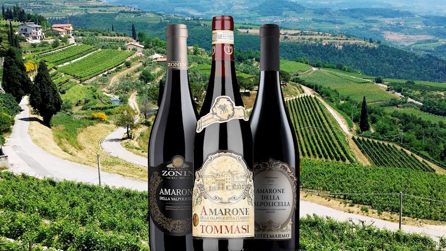 100 Best Red Wines In Italy Tasteatlas 