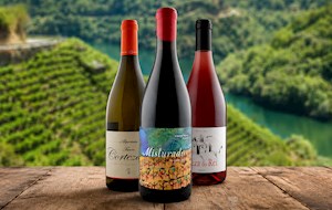 Ribeira Sacra