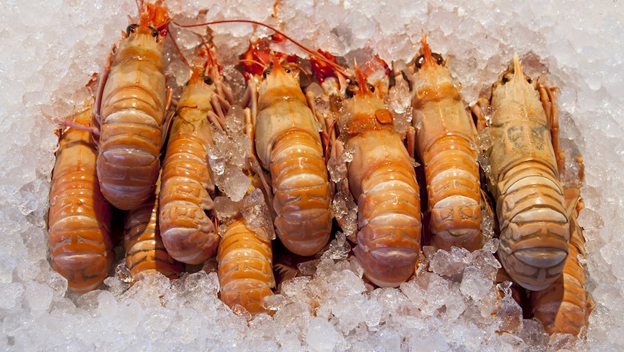 100 Most Popular Seafoods in the World TasteAtlas