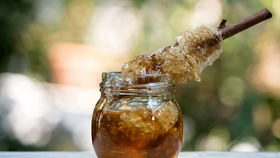 50 Most Popular Honeys in The World TasteAtlas