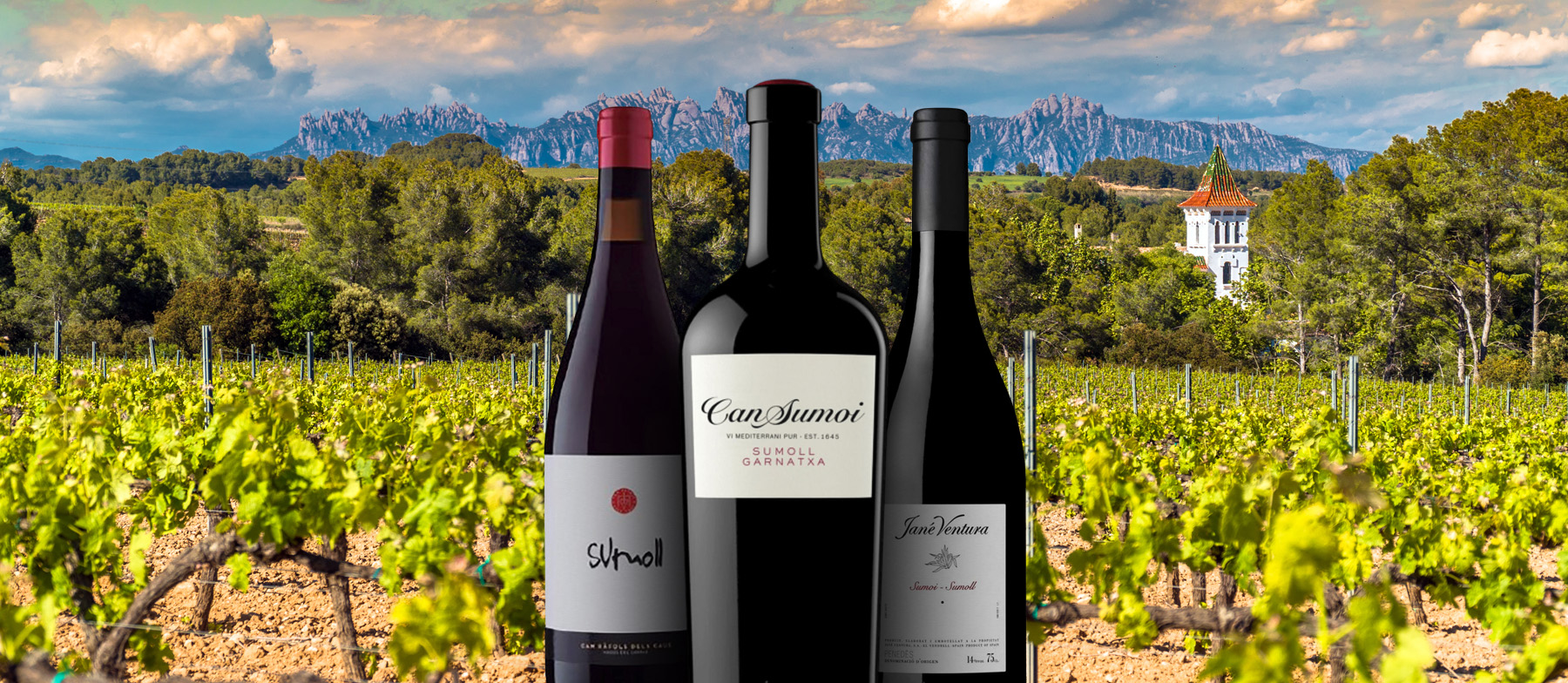 3 Most Popular Catalan Wine Varieties TasteAtlas