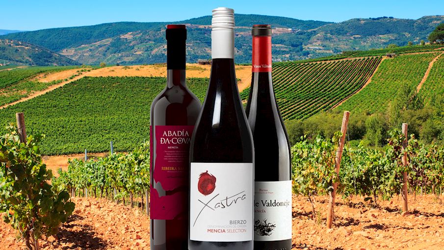 10 Most Popular Portuguese Red Wines TasteAtlas