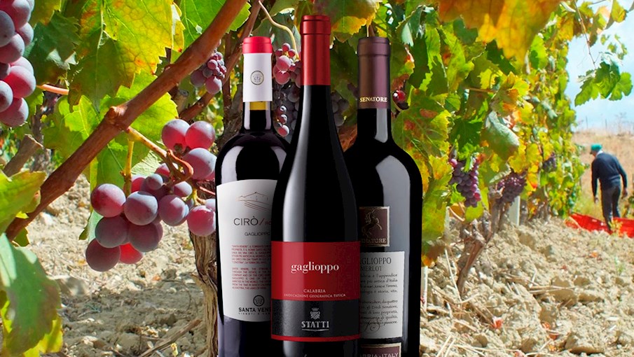 50 Most Popular Italian Red Wines - TasteAtlas