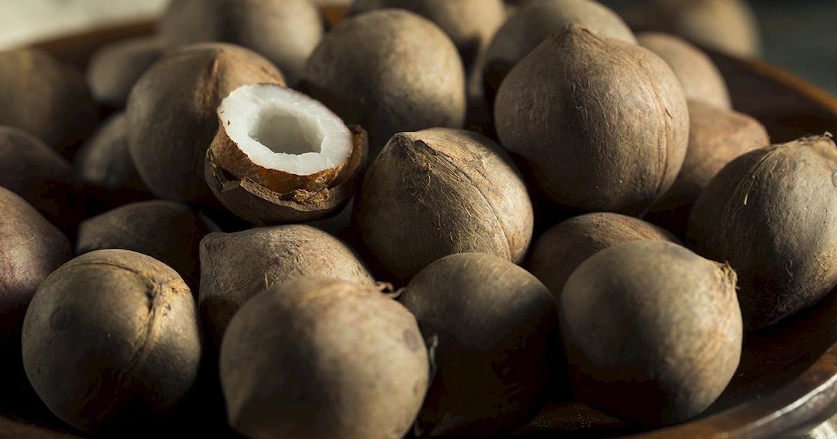 Coquito Nuts | Local Fruit From Chile