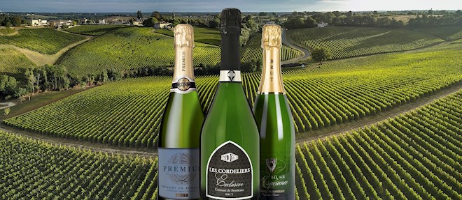 Sparkling Wines of the World: 49 Sparkling Wine Types | TasteAtlas