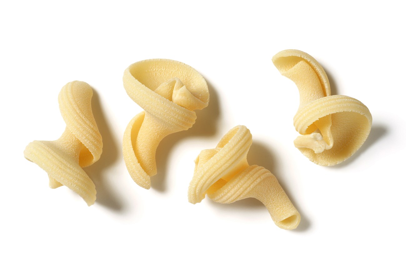 torchio-local-pasta-variety-from-italy-western-europe
