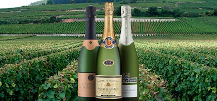 Crémant de Bourgogne