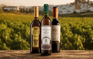 Montilla-Moriles