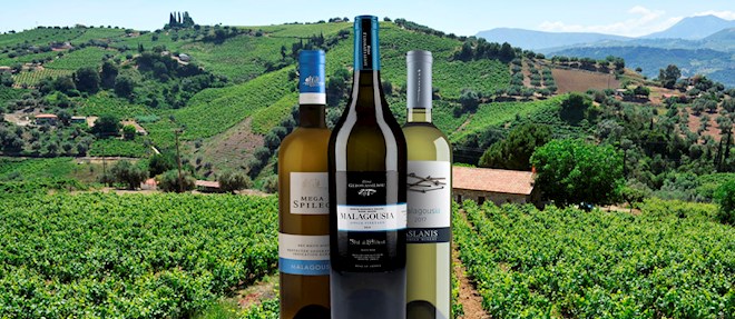 Greek White Wines: 20 White Wine Types in Greece | TasteAtlas