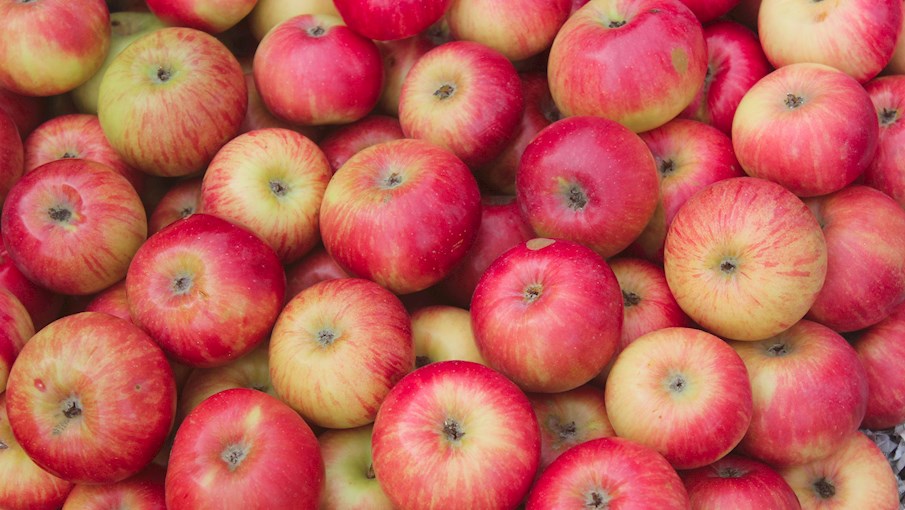 10 Most Popular Midwestern American Apples TasteAtlas