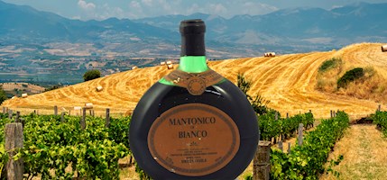 Mantonico Bianco