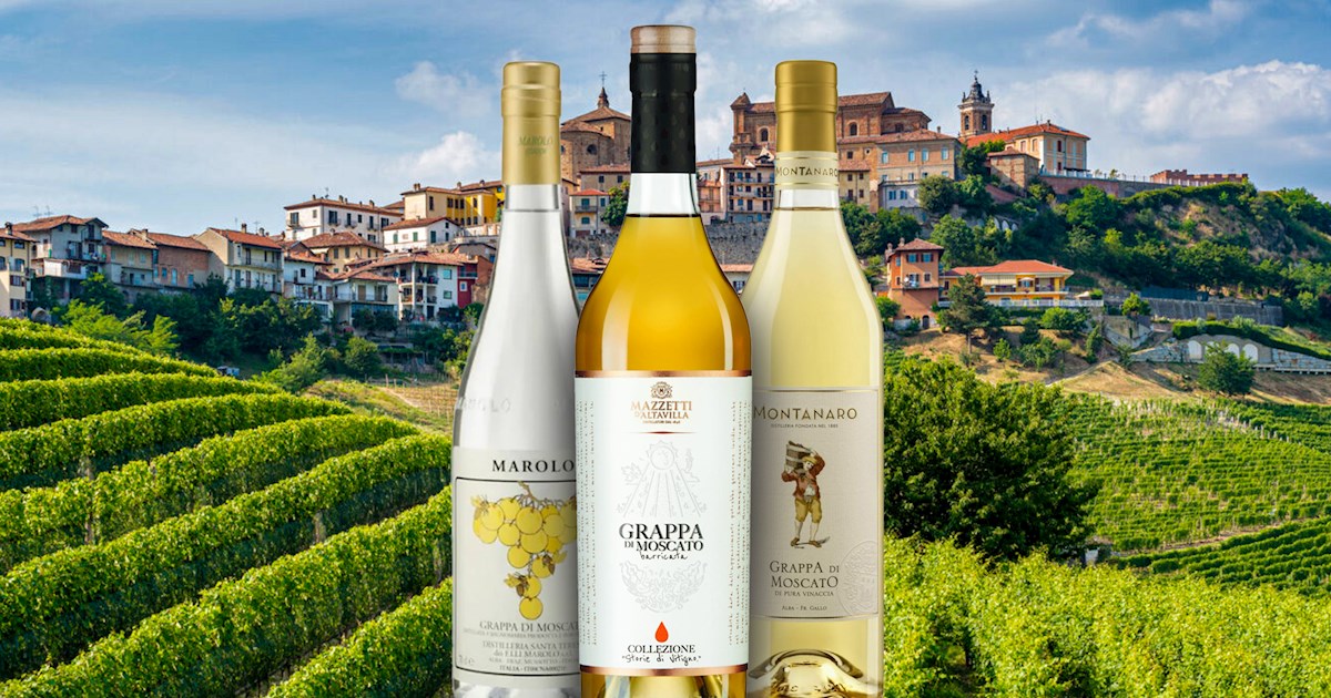 Italian Spirit With Ruta 50 Best Spirits in Italy - TasteAtlas