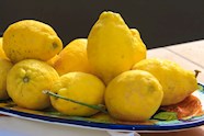 Limone Di Sorrento Local Lemon From Metropolitan City Of Naples Italy Limone Di Sorrento Local Lemon From Metropolitan City Of Naples Italy