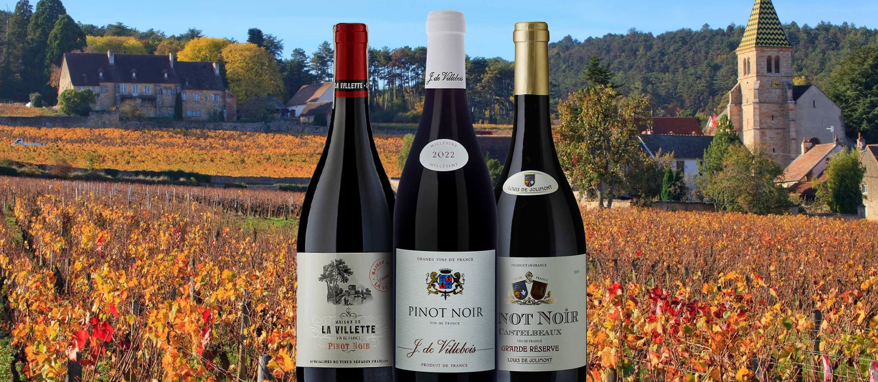 French Red Wines 114 Red Wine Types In France TasteAtlas French Red Wines 114 Red Wine Types In France TasteAtlas